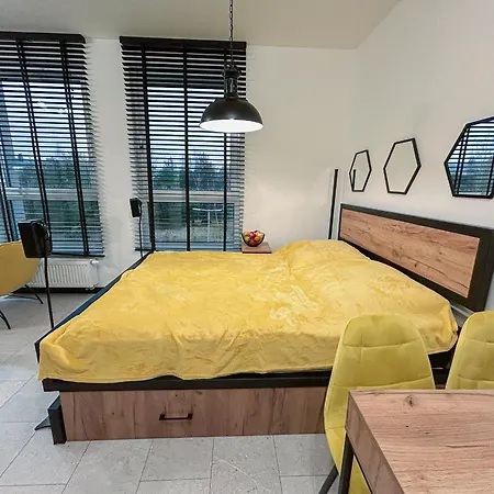 Premium Yellow Loft * レダ