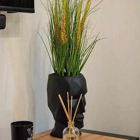 Premium Yellow Loft *