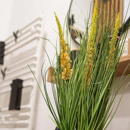 Premium Yellow Loft アパート レダ